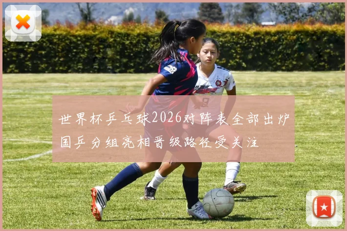 世界杯乒乓球2026对阵表全部出炉国乒分组亮相晋级路径受关注