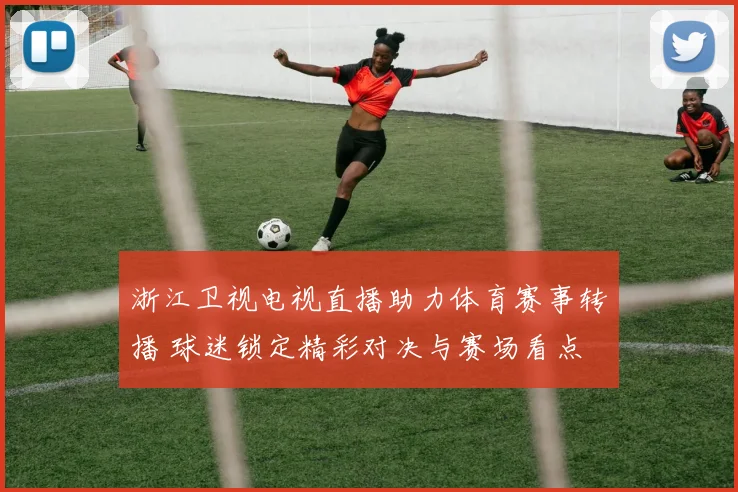 浙江卫视电视直播助力体育赛事转播 球迷锁定精彩对决与赛场看点